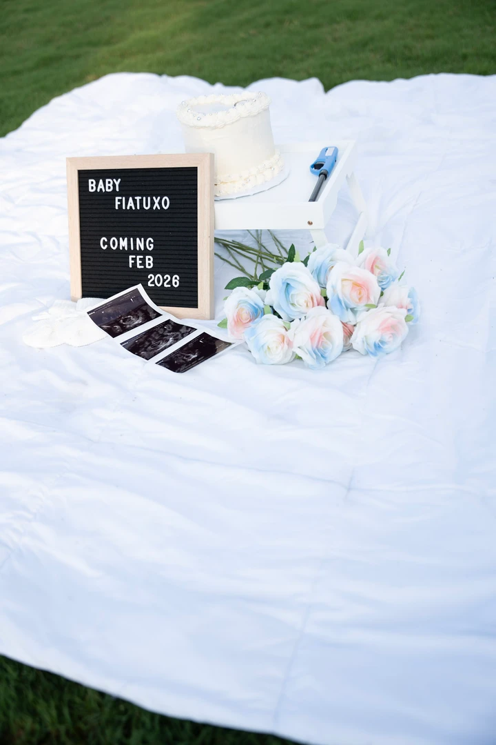 Gender reveal — photograph 76.