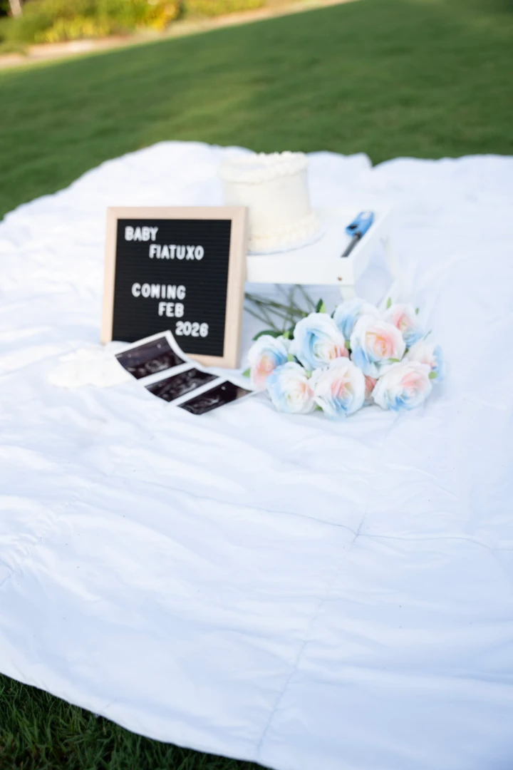 Gender reveal — photograph 77.