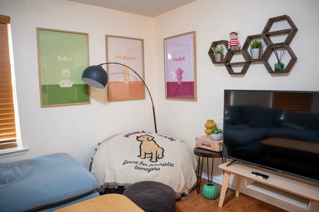 A furnished living room with framed prints, a curved lamp, and a television.