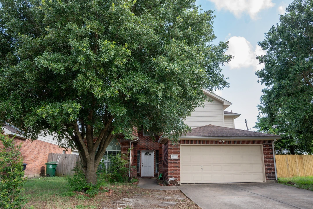 A place to call home — photograph 47.