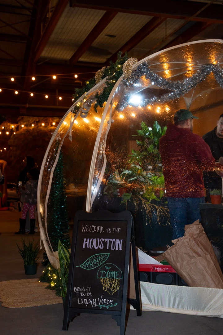An arched stall entrance decorated with warm lights and greenery.