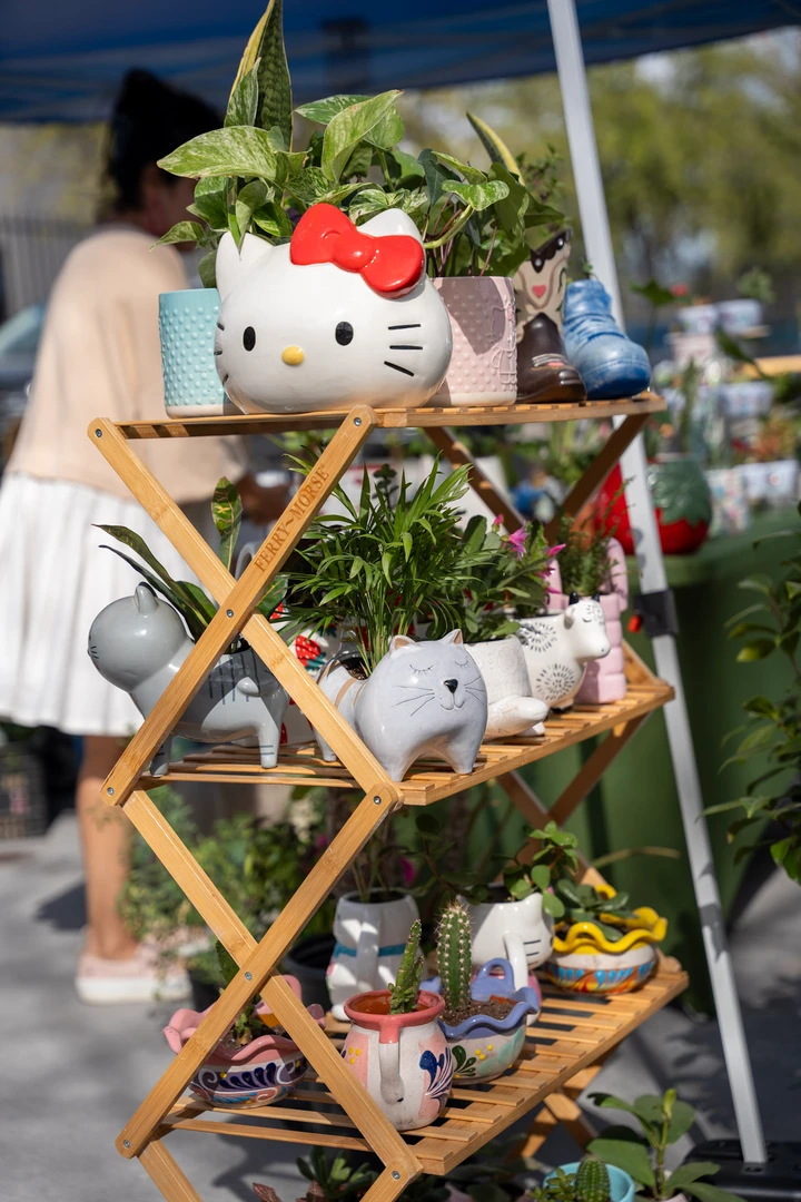 Small potted plants arranged on a wooden folding shelf.