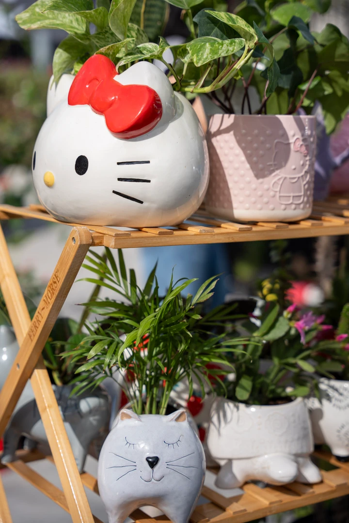 A cat-shaped planter surrounded by small plants.