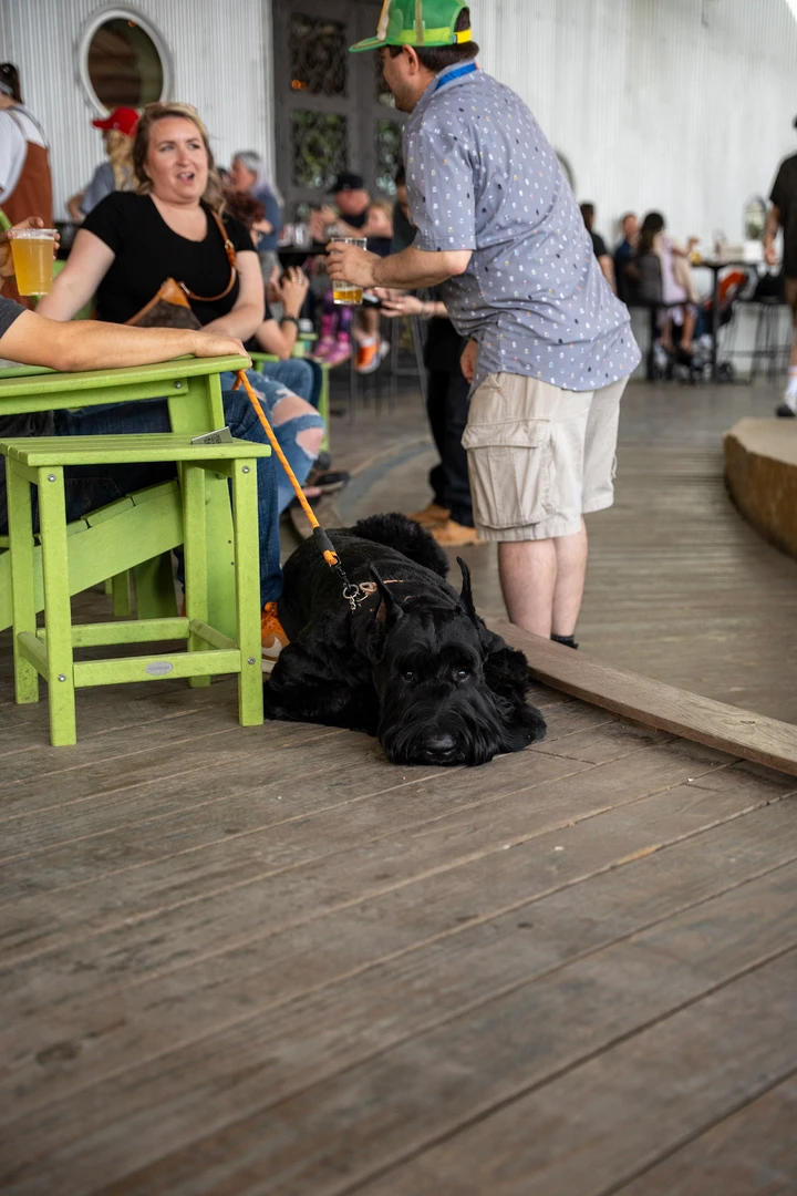 People gathered at tables inside the market venue.